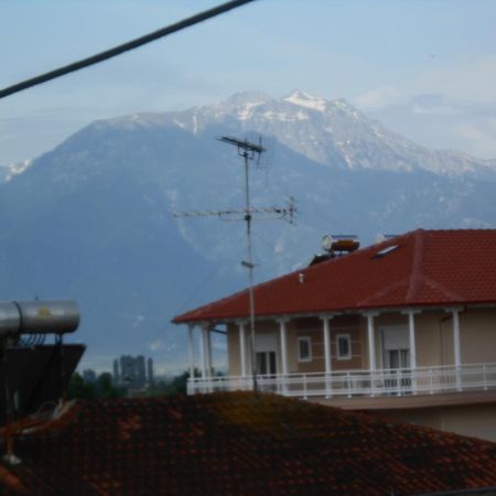 Hotel Germany Paralia Katerinis Ruang foto