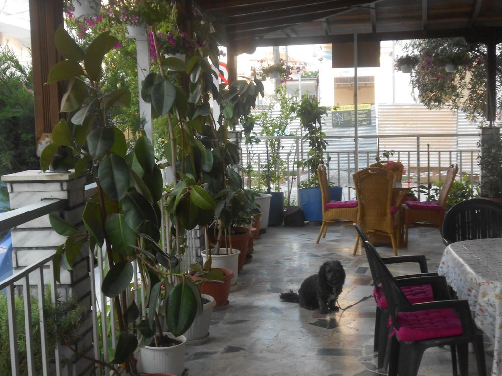Hotel Germany Paralia Katerinis Bagian luar foto